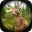Deer Shooting Game : Animal Hunting Sniper Shooter Download on Windows