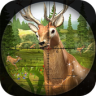 Deer Shooting Game : Animal Hunting Sniper Shooter Application icon