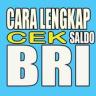 Cara Lengkap Cek Saldo BRI Application icon