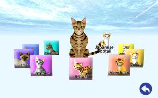 LOVE CAT!!  -Bengal cat (Unreleased) APK Ảnh chụp màn hình #24