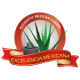 Excelencia Mexicana APK