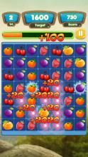 Fruits Blitz APK Download for Android