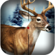 Deer Hunter Snow Season 2016 APK