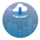 Tibuidey ♫ Free Music Player APK