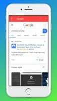 Private Browser APK capture d'écran Thumbnail #2