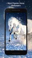 Free Horse Wallpaper Hd APK Screenshot #6