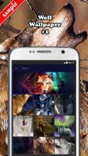 Wolf Wallpaper APK Download for Android