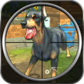 Smashy Dog Assassin Apk