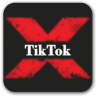 X TikTok Application icon