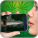 Virtual weed APK