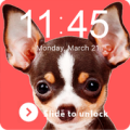 Cute Dog Chihuahua Puppy Kawaii Theme Screen Lock Apk