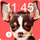 Cute Dog Chihuahua Puppy Kawaii Theme Screen Lock APK