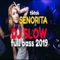 DJ Senorita Remix Full bass Apk