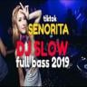 DJ Senorita Remix Full bass Application icon