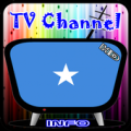 Info TV Channel Somalia HD Apk