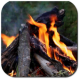 Dance Of Fire APK