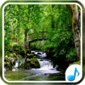 Nature Sounds For Relax and Sleep Apk