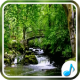 Nature Sounds For Relax and Sleep APK