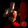 Punch 3D Boxing:Fighting Apk