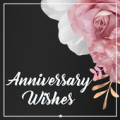 Happy Anniversary Wishes Apk