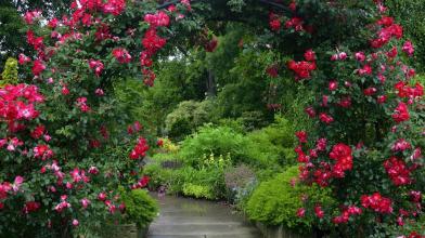 Garden Wallpaper HD APK Download for Android