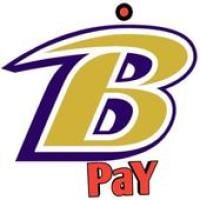 Big Pay BD - BIG PAY APK Icon