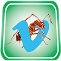 ANT Vimeo Video Free APK ภาพหน้าปก