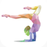 Pioneer Gymnastics Application icon