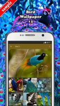 Bird Wallpaper APK Download for Android