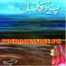 Peer e kamil 2019 Urdu Novel offline Application icon