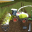 Farming Evolution Tractor Simulator 3D Download on Windows