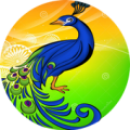 Peacock Browser - Fast Download Apk