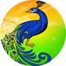 Peacock Browser - Fast Download Application icon