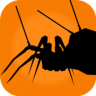 Big Insects Hunter Game icon