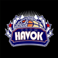 Team Havok Apk