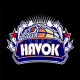 Team Havok APK