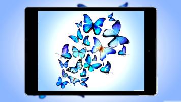 Butterfly Wallpapers HD APK צילום מסך #20