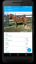 Equine Manager (Unreleased) APK Download for Android