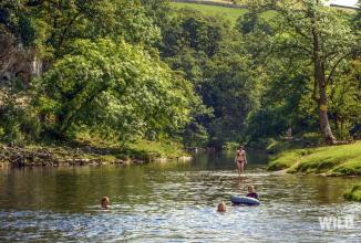 Wild Guide Yorkshire Dales (Unreleased) APK Download for Android