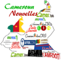 Cameroun Newspapers Apk