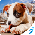 Paw Adventure (Unreleased) Apk