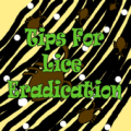 Tips For Lice Eradication Apk