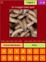 Maggot BSF Quiz 2020, Pondasi Bisnis Ternak Maggot APK 屏幕截图图片 #17