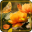 Autumn Flowers HD Download on Windows