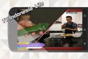 TV Indonesia Lite APK Gambar Screenshot #5